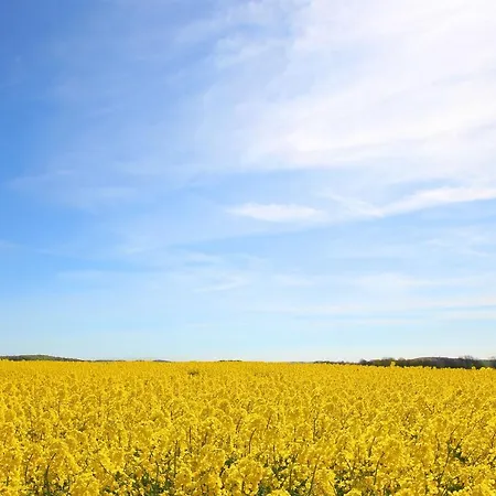 Apartamento Aparthotel Ostsee Ferienwohnung 10 Binz